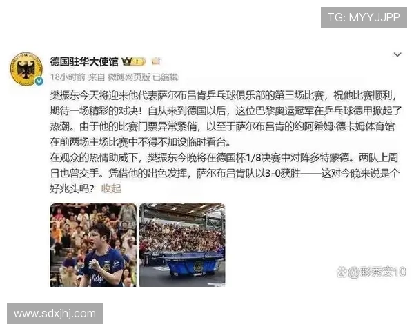 乒乓球德甲比赛是什么意思深入解析德国顶级联赛的规则与特点 乒乓球德甲比赛是什么意思深入解析德国顶级联赛的规则与特点