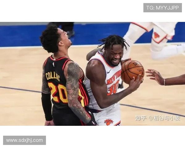 亚特兰大老鹰全新赛季崛起之路球队阵容调整与年轻核心成长分析 亚特兰大老鹰全新赛季崛起之路球队阵容调整与年轻核心成长分析