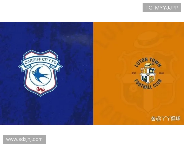 卡迪夫城俱乐部重组教练团队力争在新赛季实现英冠强势反弹 卡迪夫城俱乐部重组教练团队力争在新赛季实现英冠强势反弹