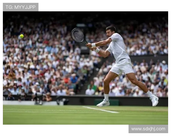 德约科维奇强势逆转再夺冠军新星崛起预示网坛新格局到来 德约科维奇强势逆转再夺冠军新星崛起预示网坛新格局到来